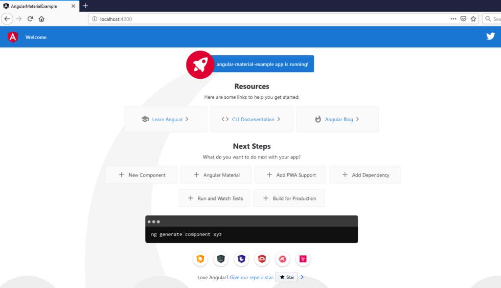 Angular app initial page